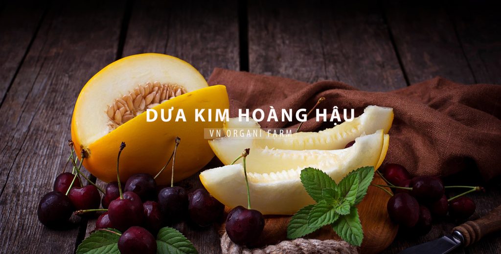 dua-kim-hoang-hau-sliderr